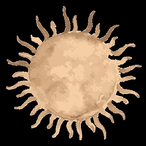 Sun GIF