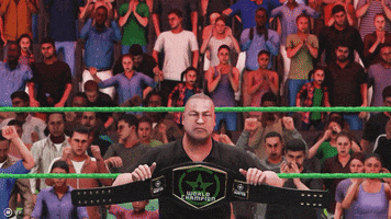 Championship Belt Knockout GIF by Achievement Hunter