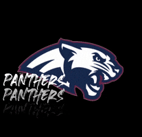 Panthers GIF by Dwyer High School