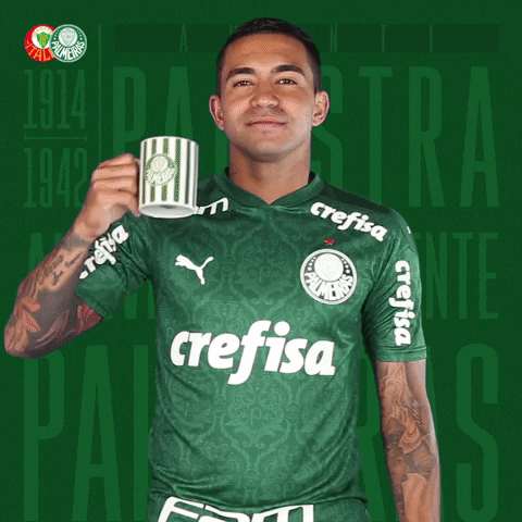 Cup Drinking GIF by SE Palmeiras