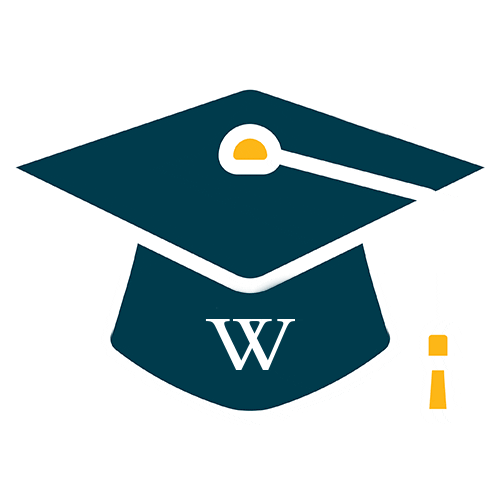Class Of 2020 Grad Cap Sticker by Walden University