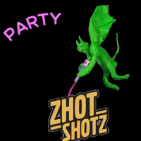 Party Fiesta GIF by Zhot Shotz