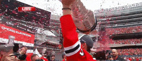 i what i want what i really really want chicago blackhawks GIF