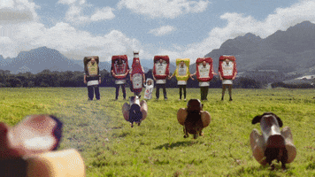 jumping hot dog GIF by Heinz Ketchup