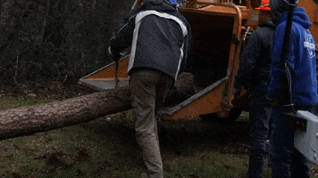 Heavy Equipment Wood Chipper GIF by JC Property Professionals