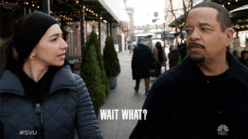 Episode 11 GIF by Law & Order