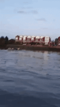 Rowing Tss GIF by Square Blades