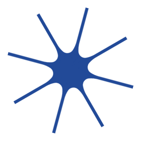 Star Sticker