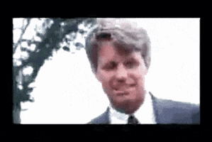 1960's history GIF by absurdnoise