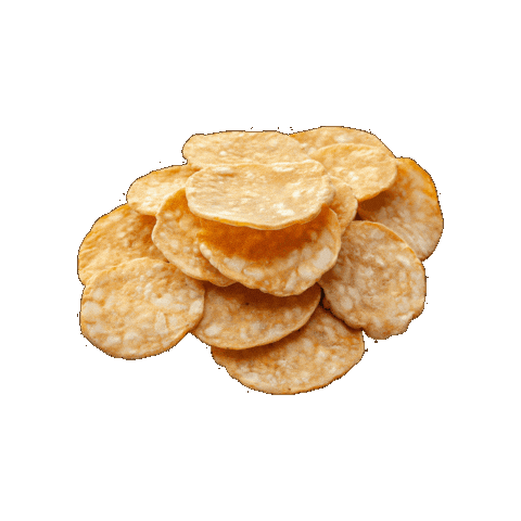 Tempeh Sticker by Shapelyne