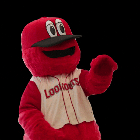 GIF by Chattanooga Lookouts