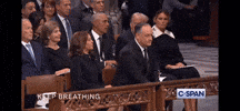 Kamala GIF