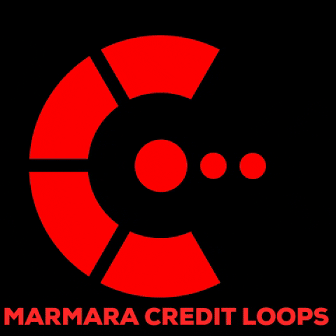 Marmaraio crypto komodo mcl marmarachain GIF