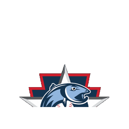 Sticker by All American Baseball