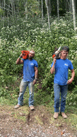 Chain Saw Landscaping GIF by JC Property Professionals