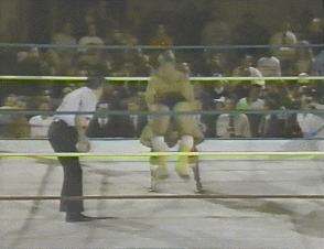 Wwe GIF