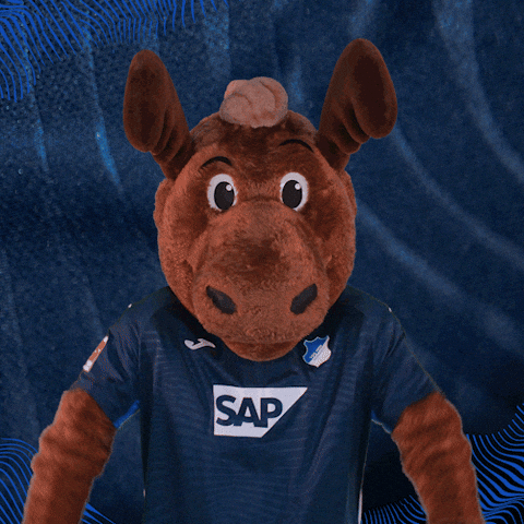 Sport Bundesliga GIF by TSG Hoffenheim