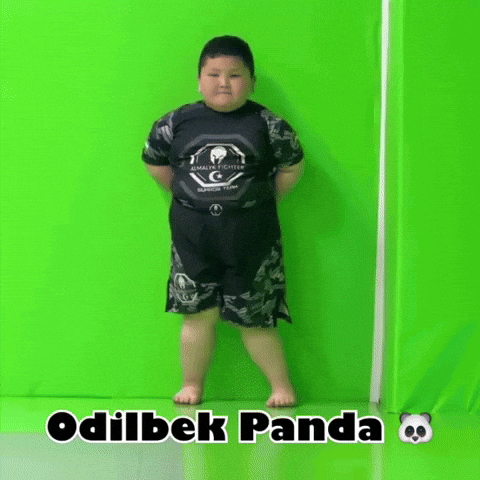 Panda Uzbek GIF