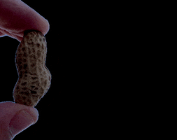 maniseros.com GIF