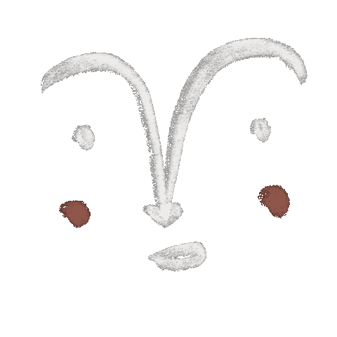 Face Sticker