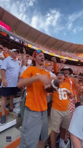 Tennessee Volunteers Football GIF by Storyful