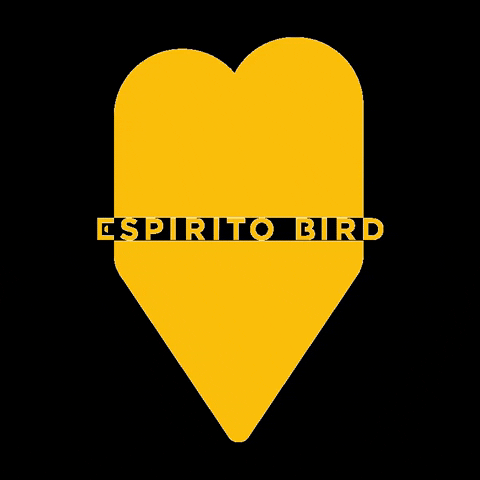 EspiritoBird heart bird coracao amarelo GIF