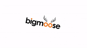 bigmoose GIF