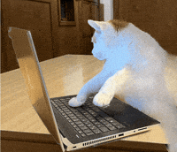 Cat-jump GIFs - Get the best GIF on GIPHY
