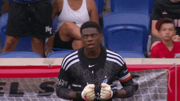 Excited Sean Johnson GIF by NYCFC