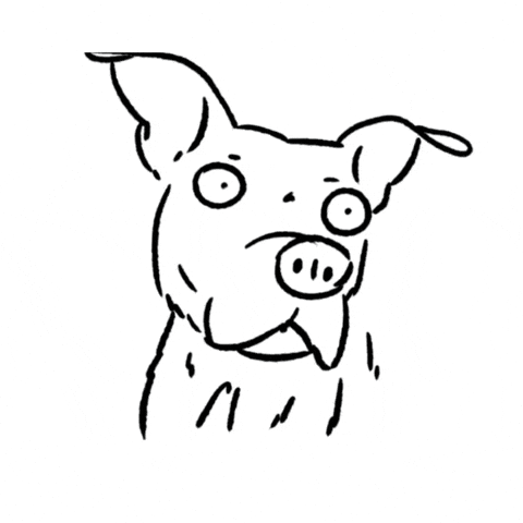 Shocked Dog GIF by butpoorlydrawn