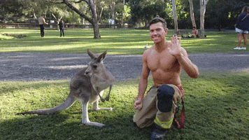Australia Thumbs Up GIF by Australian Firefighters Calendar