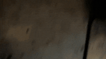 Rap Tampa GIF by 1way4xx