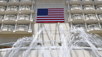 American Flag Usa GIF by Orlando International Airport (MCO)