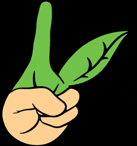 Rollito Vegano GIF