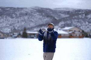 Snow GIF