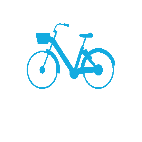 Blue Bikes NOLA Sticker