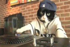 hip hop dj cat GIF