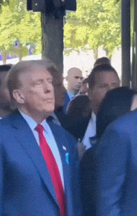 Trump + PandaPals Collaboration?