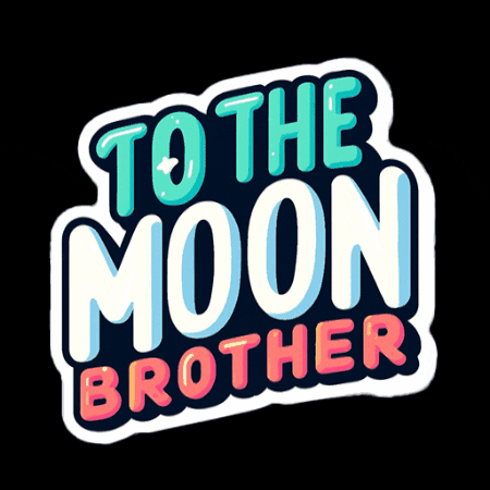 BrotherCoin moon brother brothers to the moon GIF