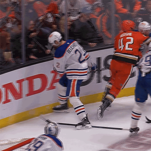Anaheim Ducks GIF