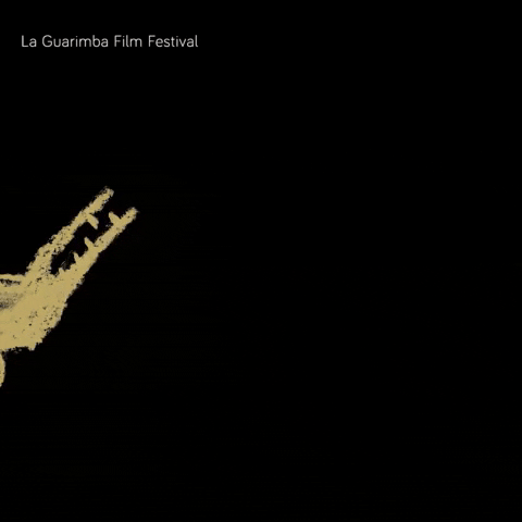 Dog Falling GIF by La Guarimba Film Festival