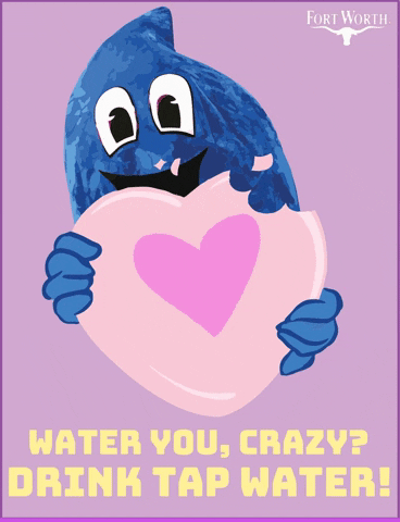 Valentines Day Love GIF by Fort Worth Water