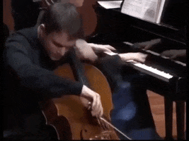 Violoncello GIF