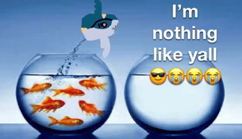 Fishbowl GIF