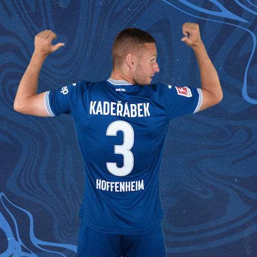 Pavel Kaderabek Football GIF by TSG Hoffenheim