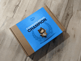 Salesforce GIF