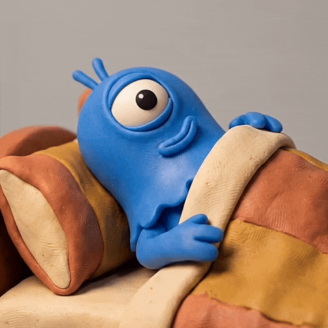 GIF by Momo & Tulus