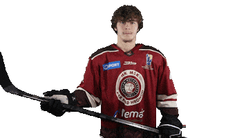 HK MŠK Žiar nad Hronom Sticker