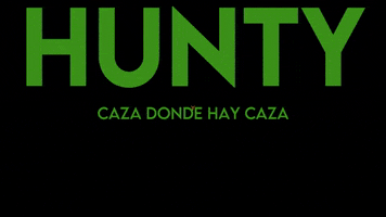 hunty.es GIF