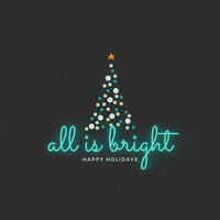 Merry Christmas GIF by Socially Sorted